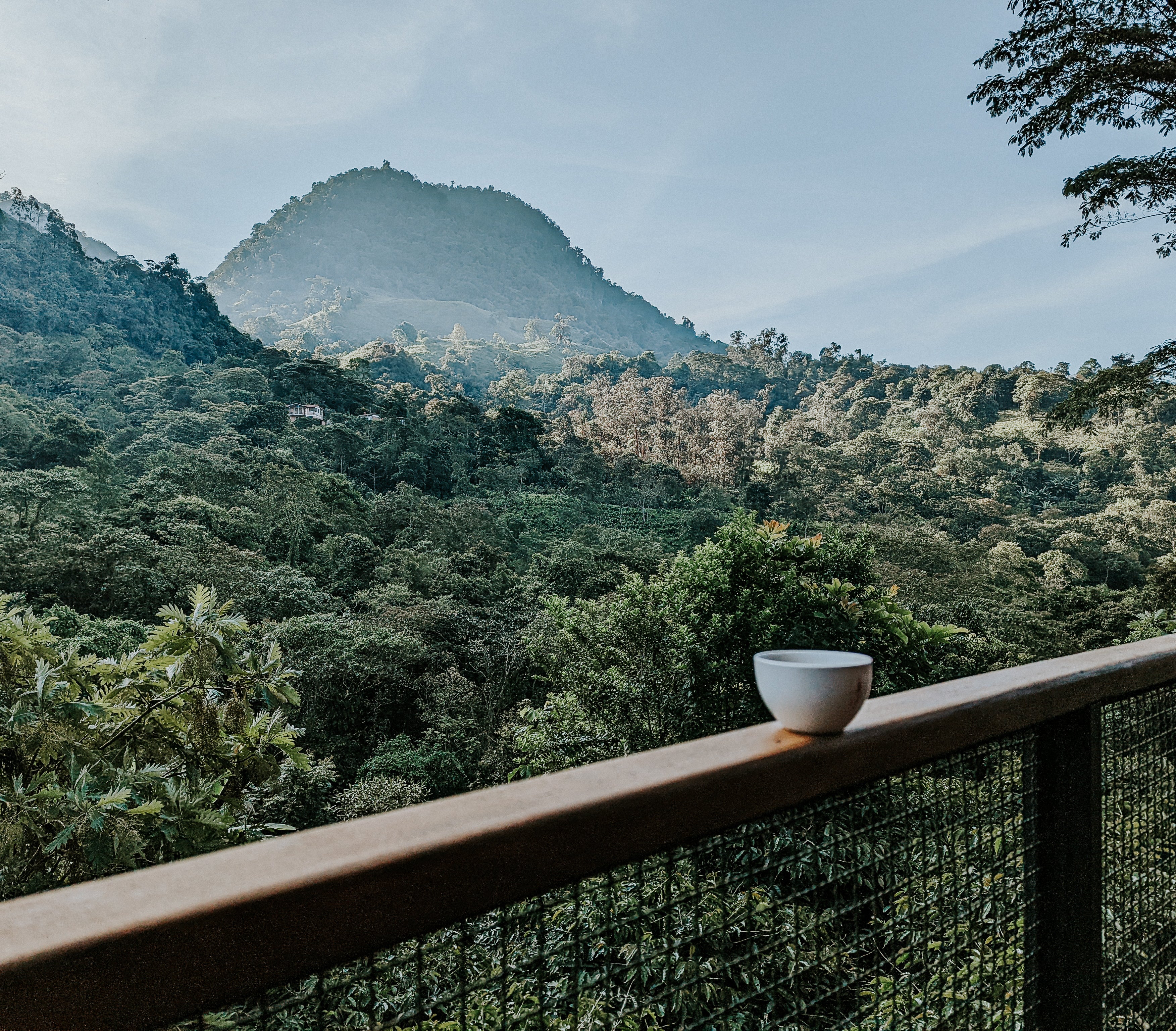 International Coffee Day: Embracing Futura's Coffee Journey!