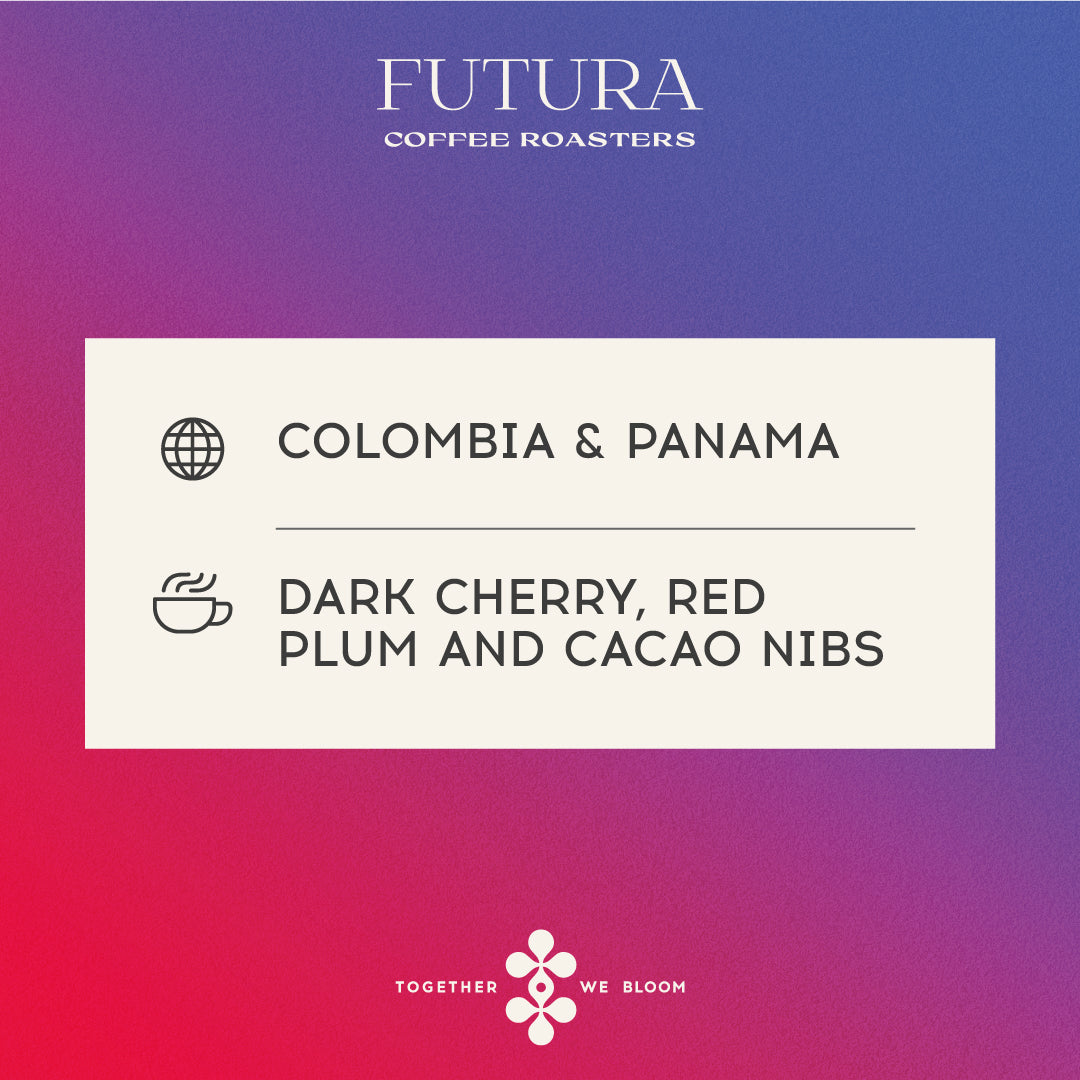 Colombia & Panama LOVE Blend