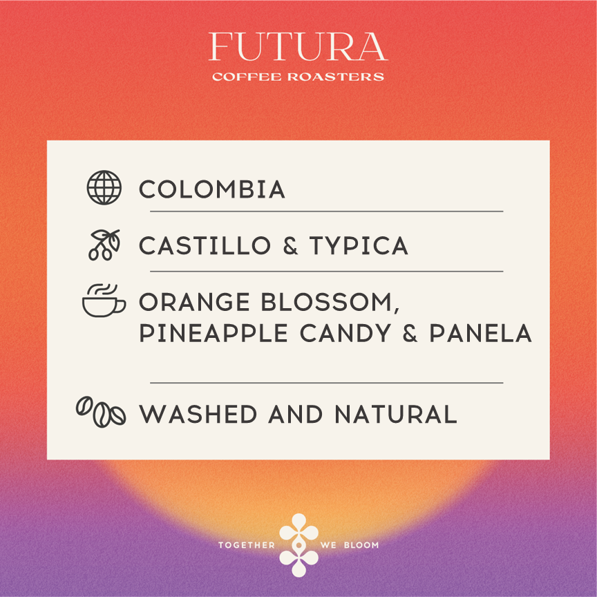 Colombia ACT Blend