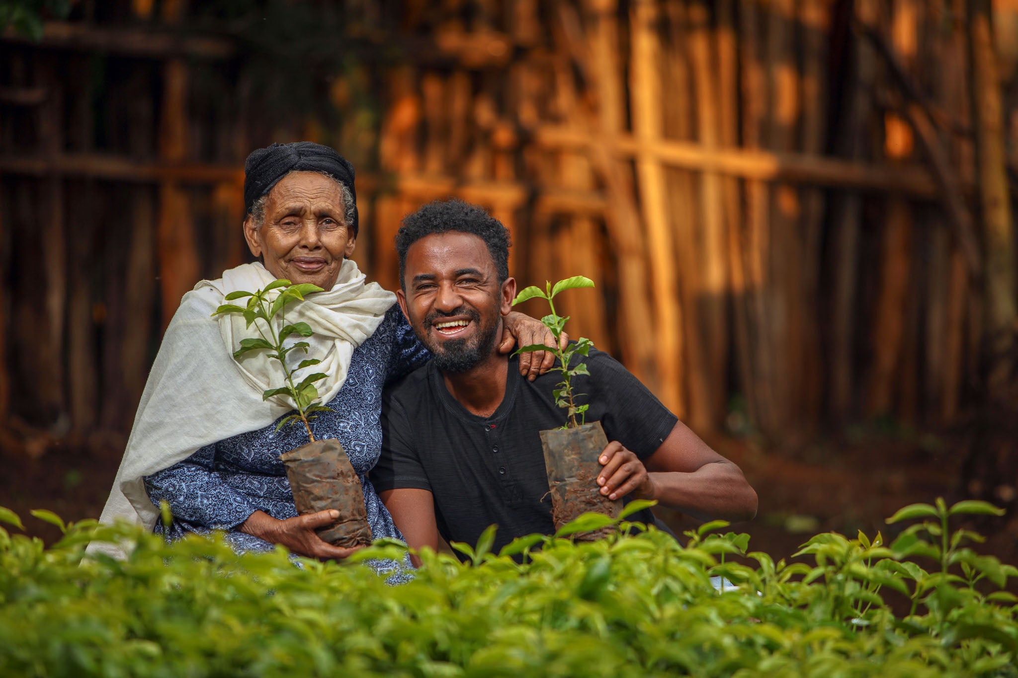 Ethiopia - Guji Megadu