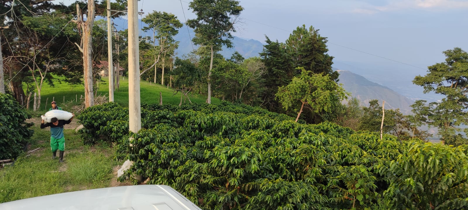 Colombia - Ferney Macias - Biochar Coffee