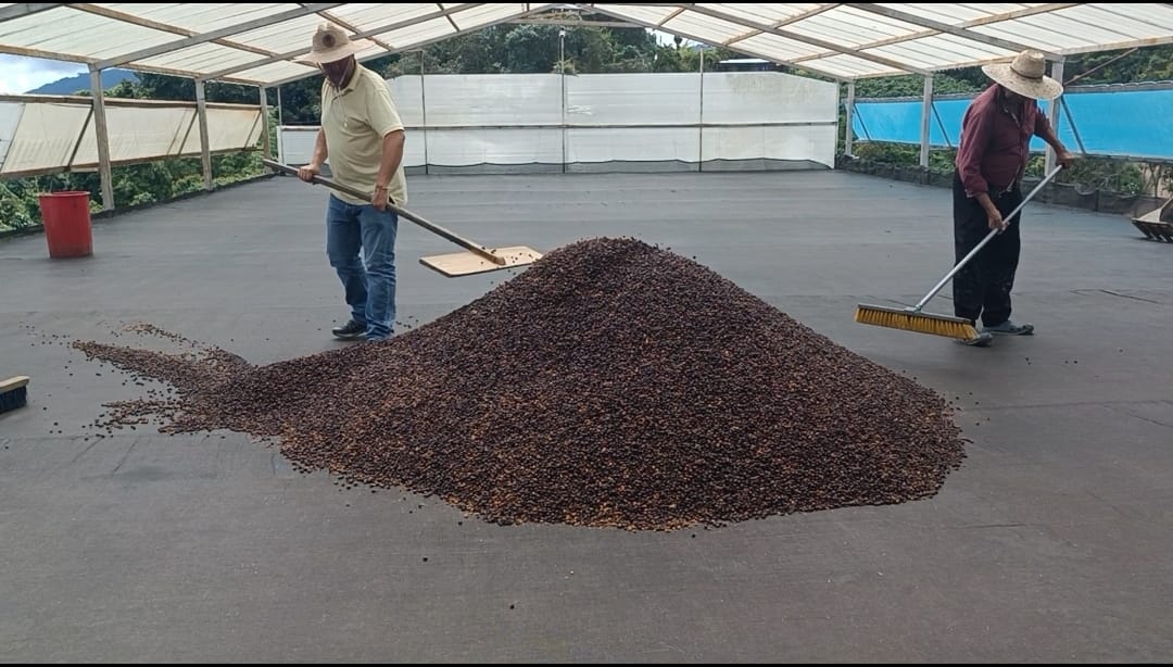 Colombia - Ferney Macias - Biochar Coffee