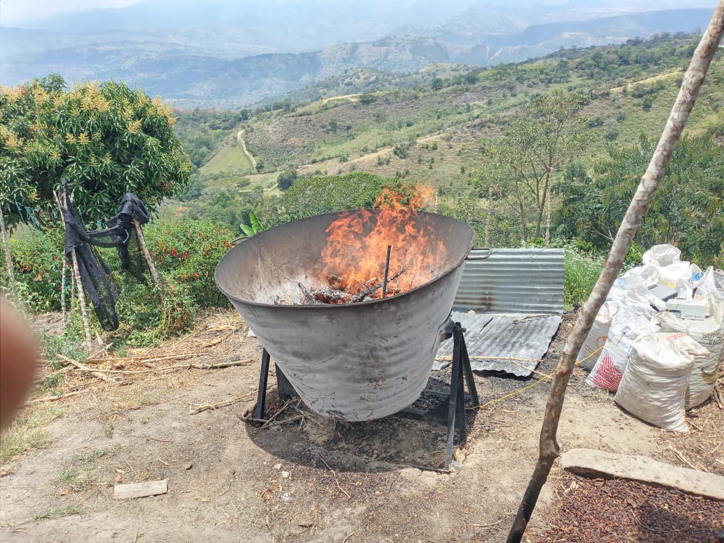 Colombia - Javier Gasca - Biochar