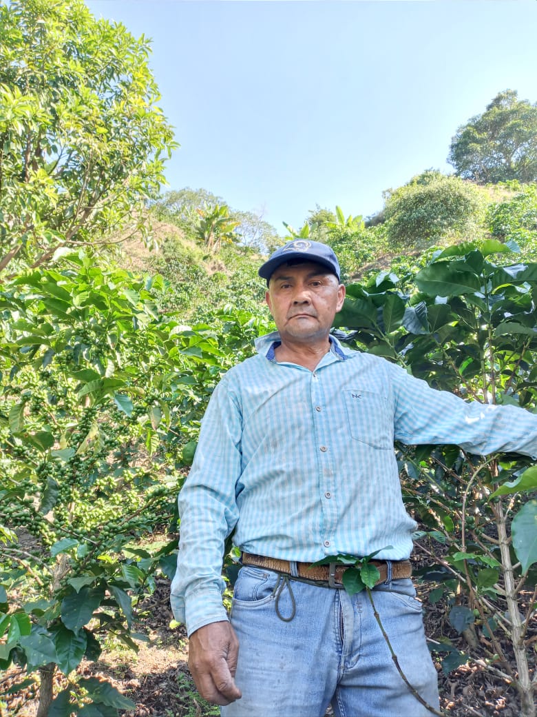 Colombia - Javier Gasca - Biochar