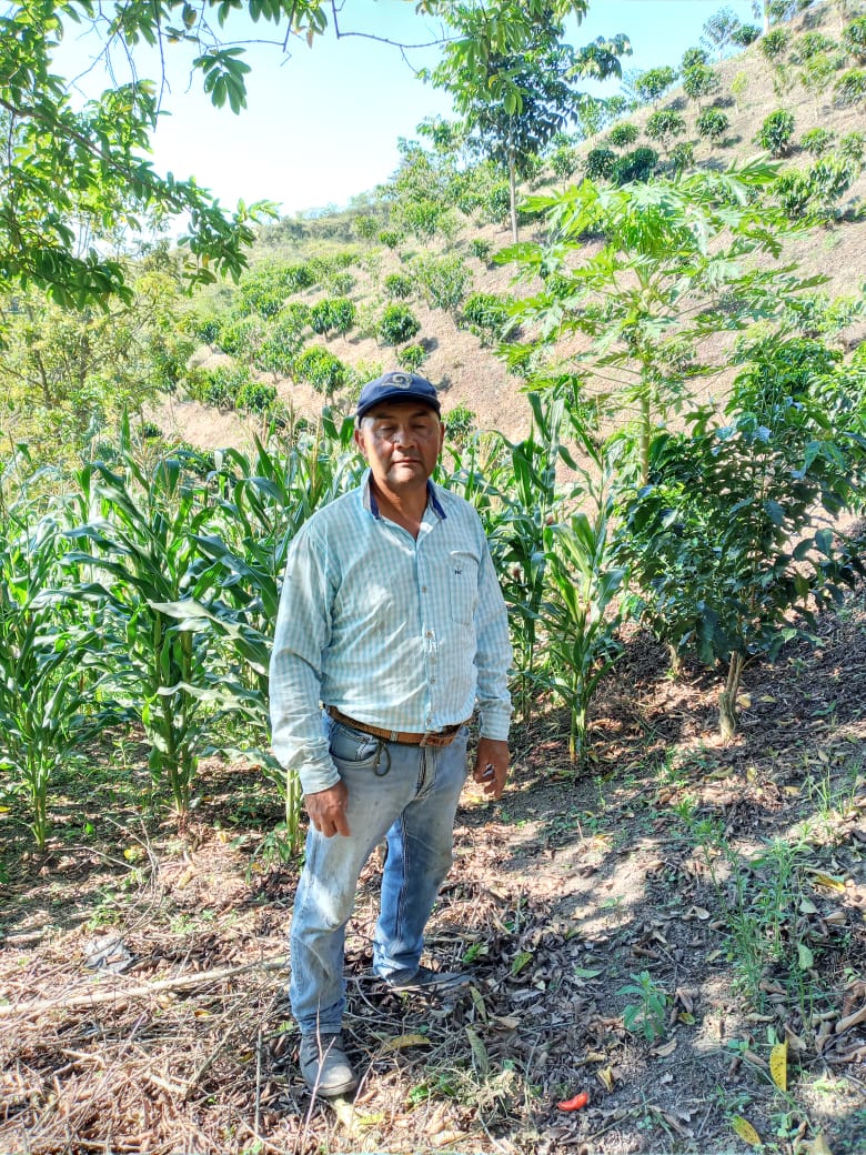 Colombia - Javier Gasca - Biochar
