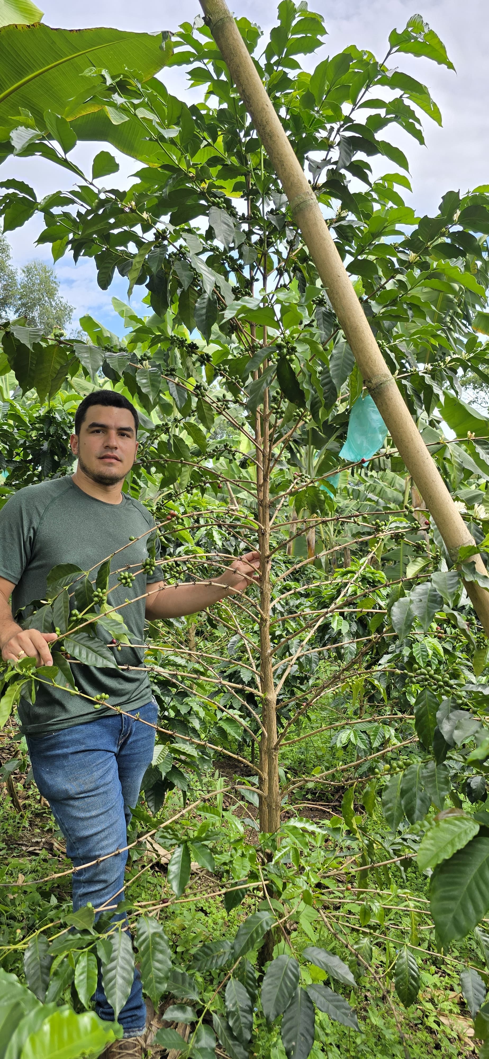 Colombia - Jhon Wilmer Cuellar