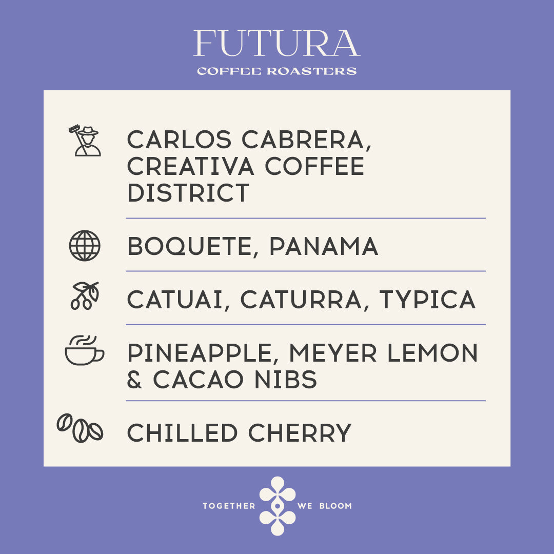 Panama - Creativa Coffee District