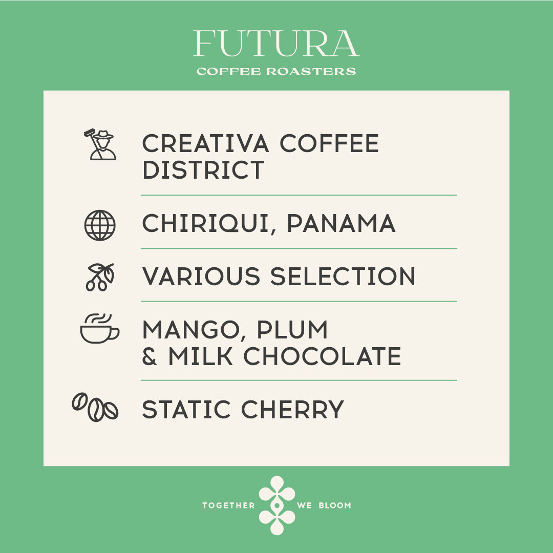 Panama Decaf - Creativa Coffee District
