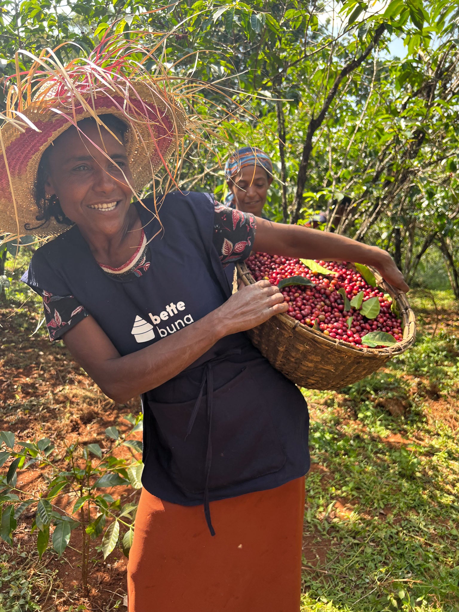 Ethiopia - Guji Megadu