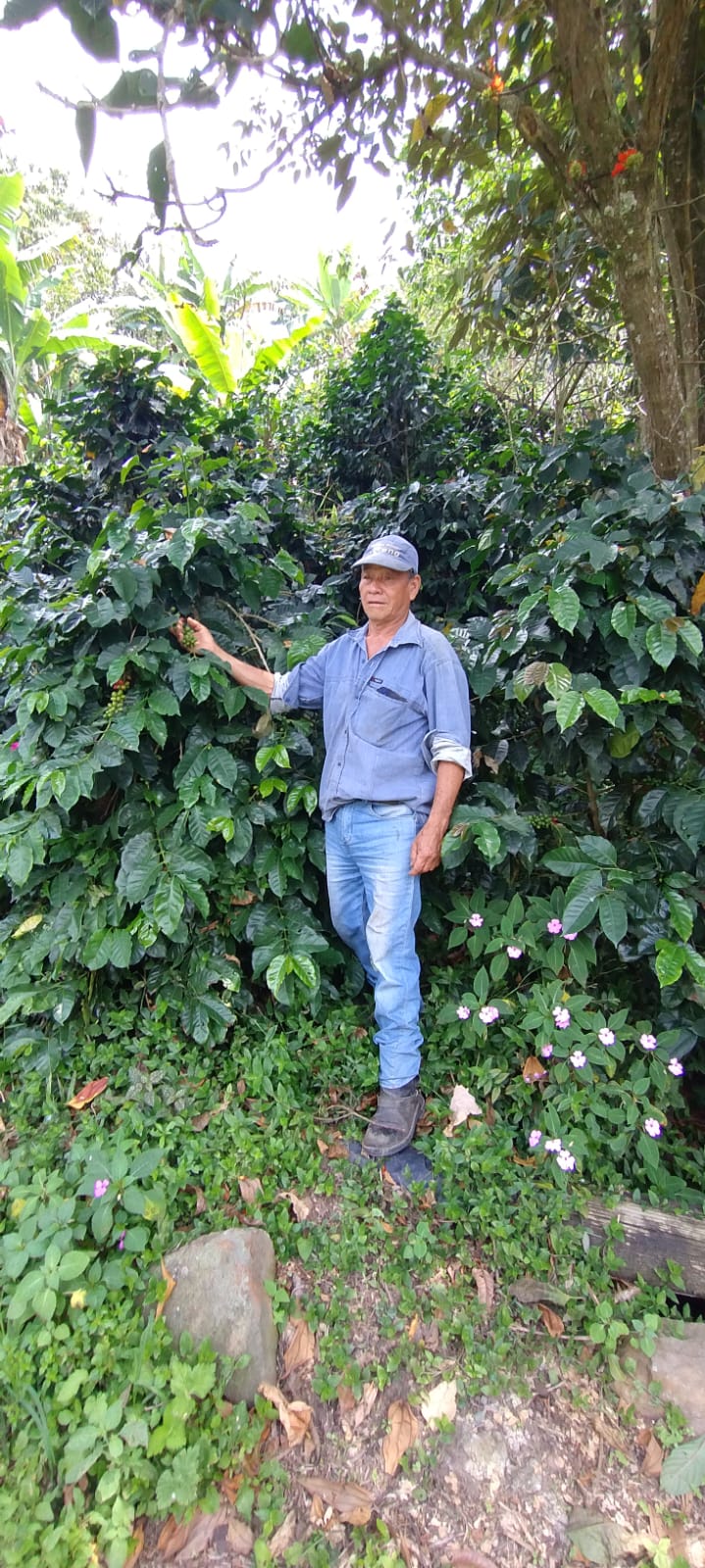 Colombia - Faustino Reyes