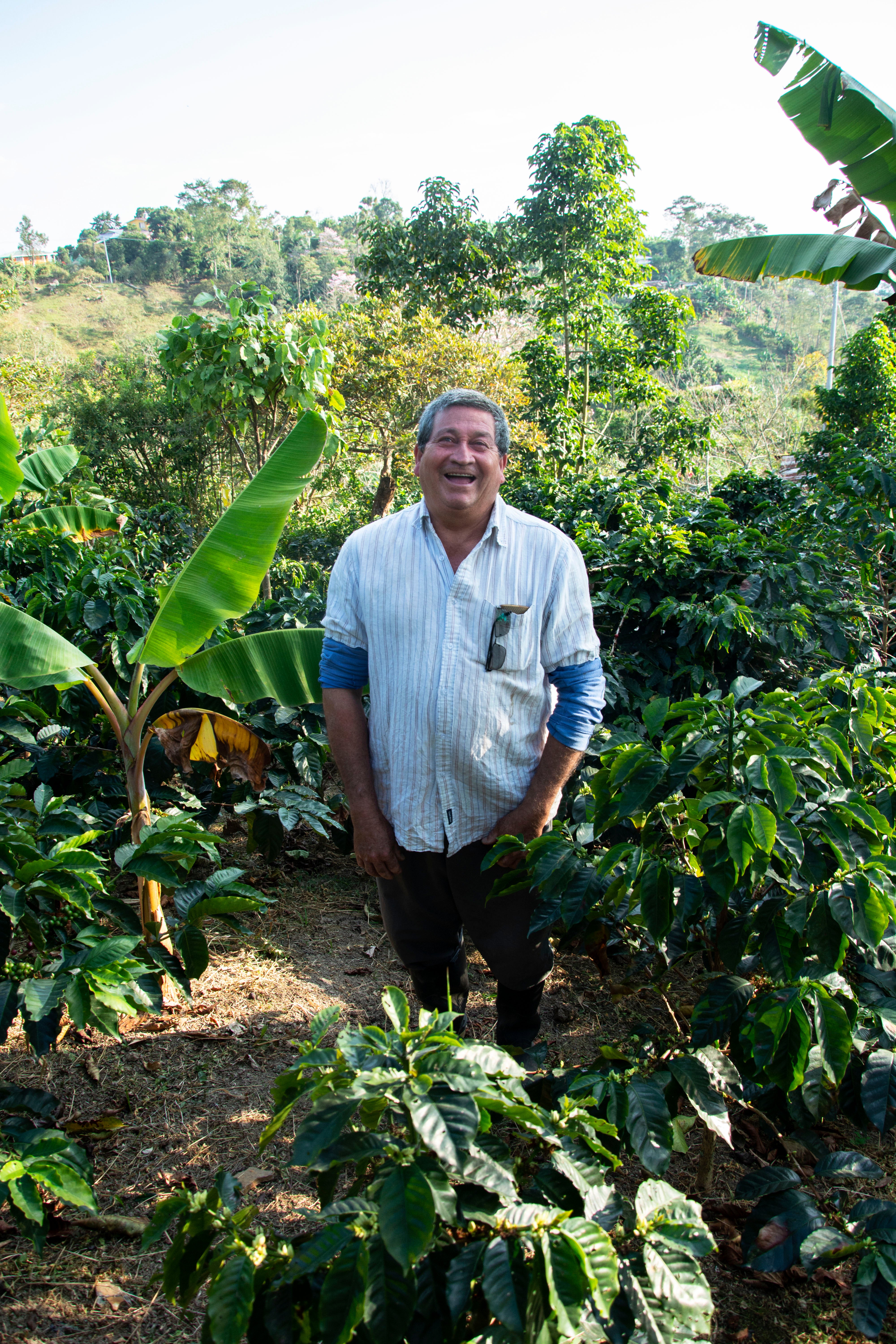 Colombia - Julio Bermudez, La Palma & El Tucan