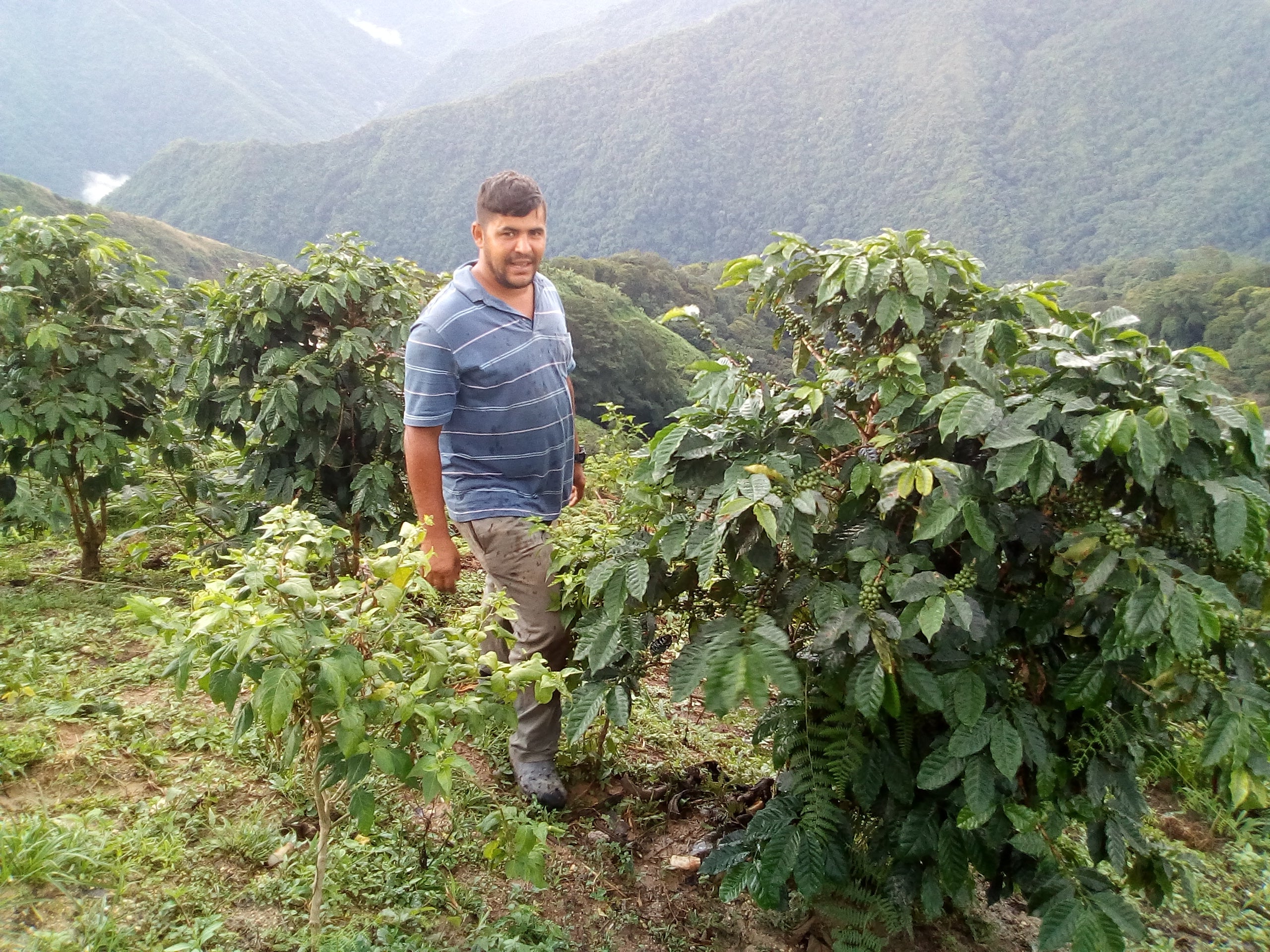 Jorge Lopez-Colombia-Delagua Coffee Paradise