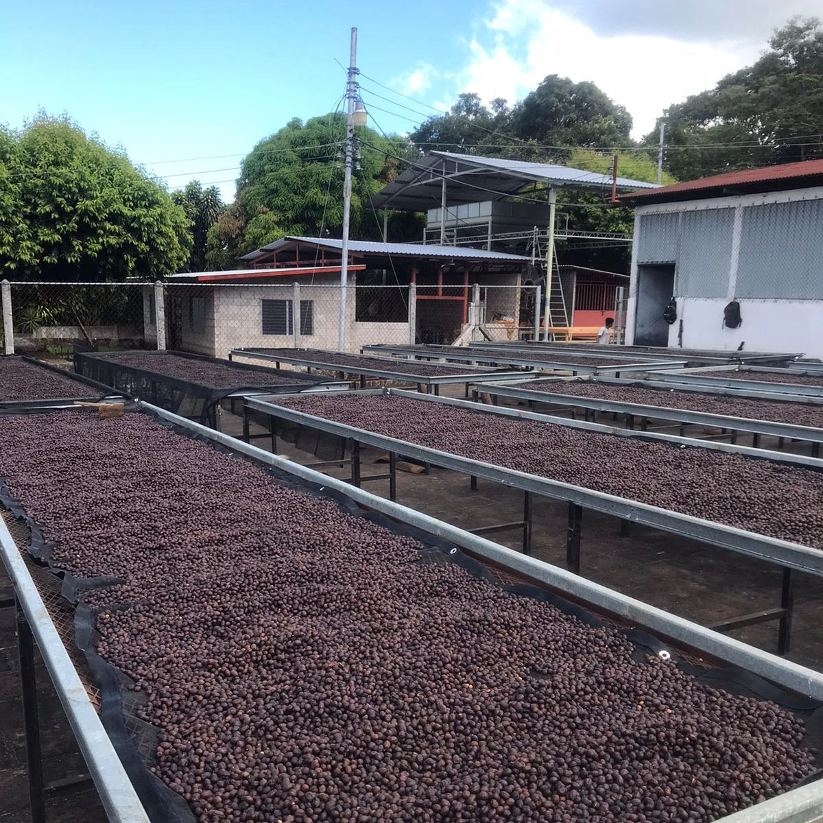 Colombia - DECAF Somalia Guerra Fonseca