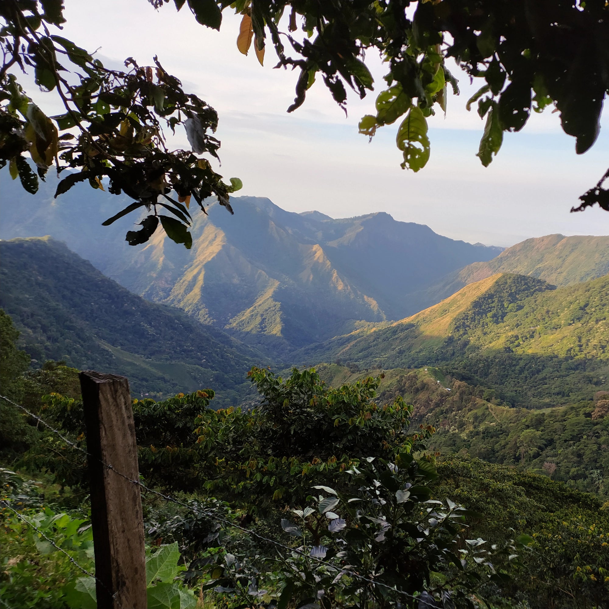 Colombia - DECAF Somalia Guerra Fonseca