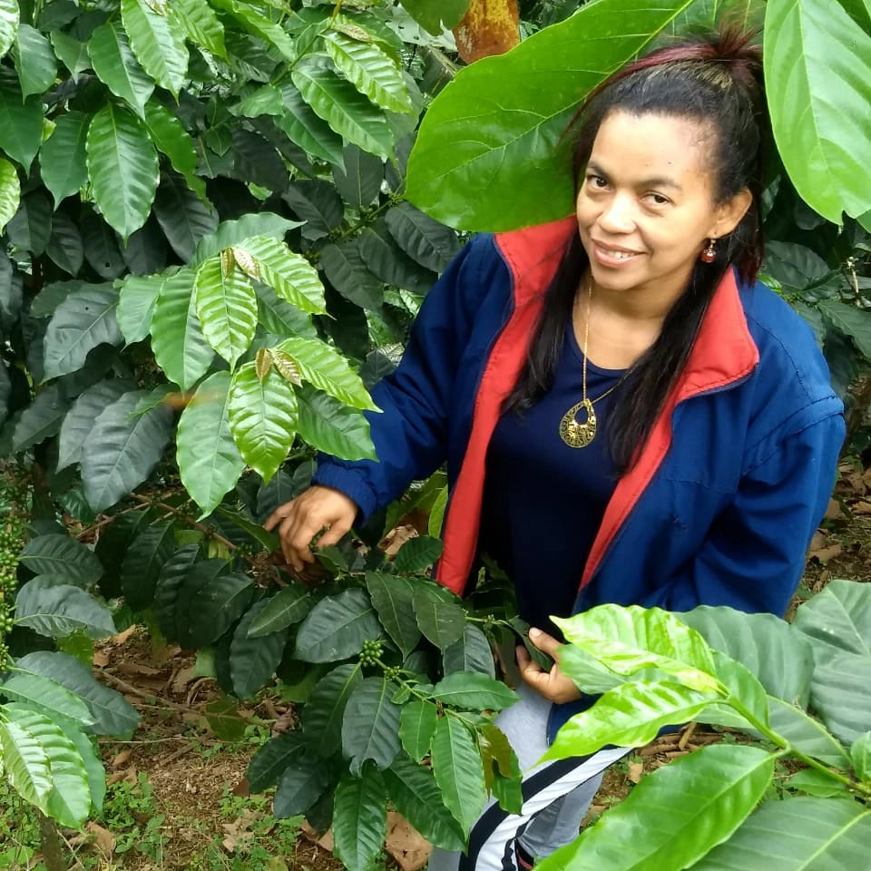 Colombia - DECAF Somalia Guerra Fonseca